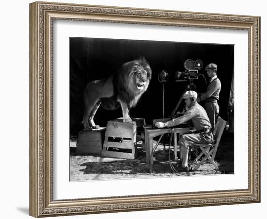 Film History: M. G. M.. Shooting of the Logo for the Metro Goldwyn Mayer-null-Framed Photographic Print