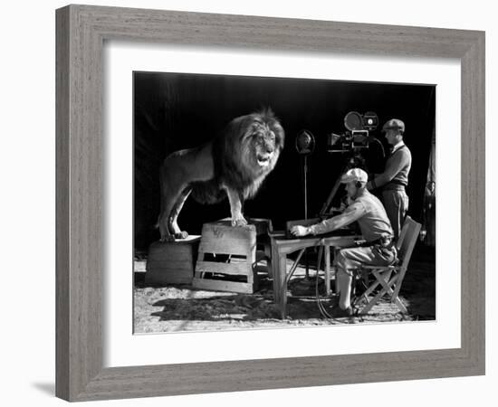 Film History: M. G. M.. Shooting of the Logo for the Metro Goldwyn Mayer-null-Framed Photographic Print