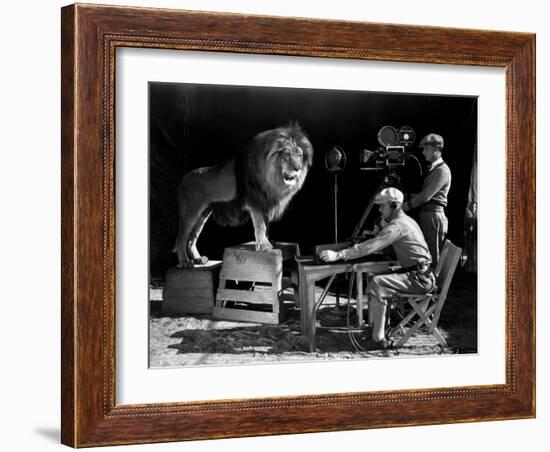 Film History: M. G. M.. Shooting of the Logo for the Metro Goldwyn Mayer-null-Framed Photographic Print