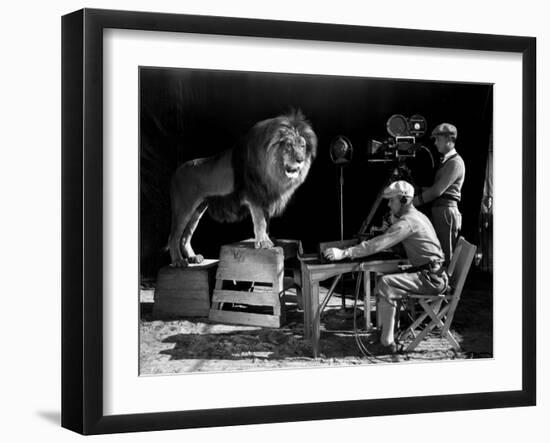 Film History: M. G. M.. Shooting of the Logo for the Metro Goldwyn Mayer-null-Framed Photographic Print