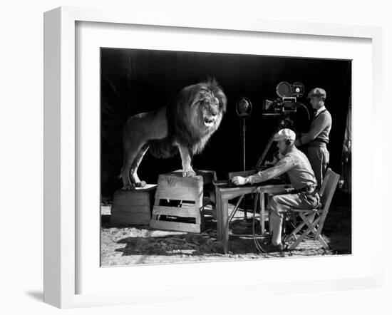 Film History: M. G. M.. Shooting of the Logo for the Metro Goldwyn Mayer-null-Framed Photographic Print