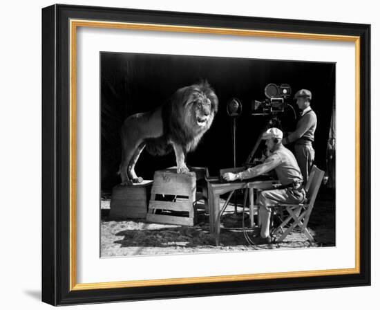 Film History: M. G. M.. Shooting of the Logo for the Metro Goldwyn Mayer-null-Framed Photographic Print