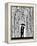 Film Noir-Marc Allante-Framed Premier Image Canvas