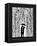 Film Noir-Marc Allante-Framed Premier Image Canvas