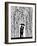 Film Noir-Marc Allante-Framed Giclee Print