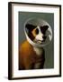 Filmhound-Michael Sowa-Framed Art Print