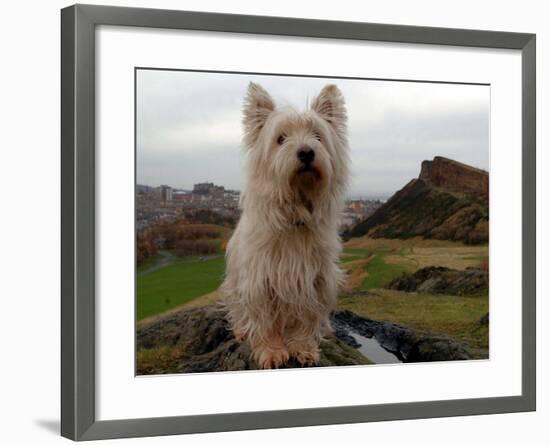 Filming the Adventures of Bobby, Edinburgh, November 2004-null-Framed Photographic Print