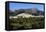 Filoti in Olive Groves, Tragea, Naxos, Cyclades, Greece-Richard Ashworth-Framed Premier Image Canvas