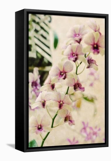 Filter Flowers I-Gail Peck-Framed Premier Image Canvas