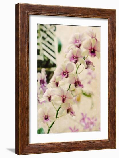 Filter Flowers I-Gail Peck-Framed Photographic Print