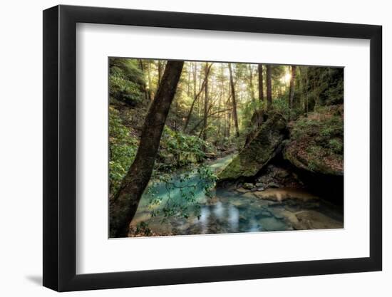 Filtered Light I-Danny Head-Framed Photographic Print