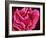 Fimbriae of a Fallopian Tube, SEM-Susumu Nishinaga-Framed Photographic Print