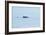 Fin Whale, Svalbard, Spitzbergen, Norway-Raimund Linke-Framed Photographic Print