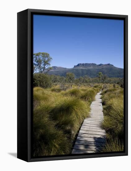 Final Stretch of Overland Track to Narcissus Hut, Mount Olympus on Shores of Lake St Clair in Back-Julian Love-Framed Premier Image Canvas