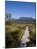 Final Stretch of Overland Track to Narcissus Hut, Mount Olympus on Shores of Lake St Clair in Back-Julian Love-Mounted Photographic Print