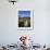 Final Stretch of Overland Track to Narcissus Hut, Mount Olympus on Shores of Lake St Clair in Back-Julian Love-Framed Photographic Print displayed on a wall