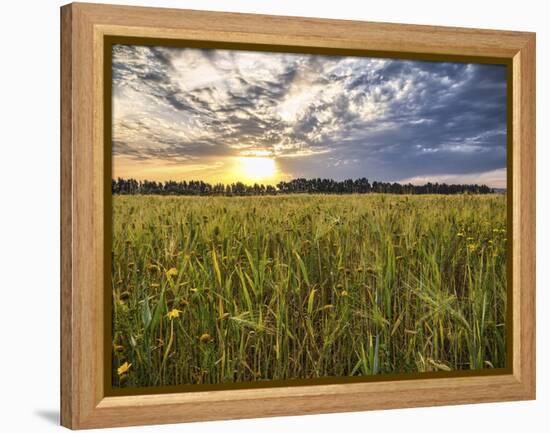 Final Sunset-Giuseppe Torre-Framed Premier Image Canvas