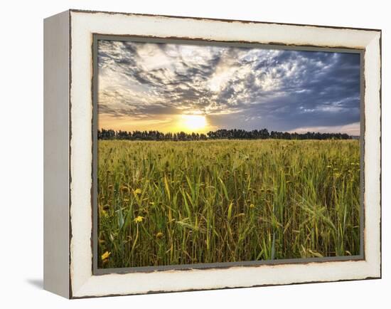 Final Sunset-Giuseppe Torre-Framed Premier Image Canvas