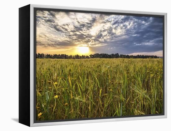 Final Sunset-Giuseppe Torre-Framed Premier Image Canvas