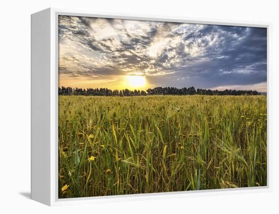 Final Sunset-Giuseppe Torre-Framed Premier Image Canvas