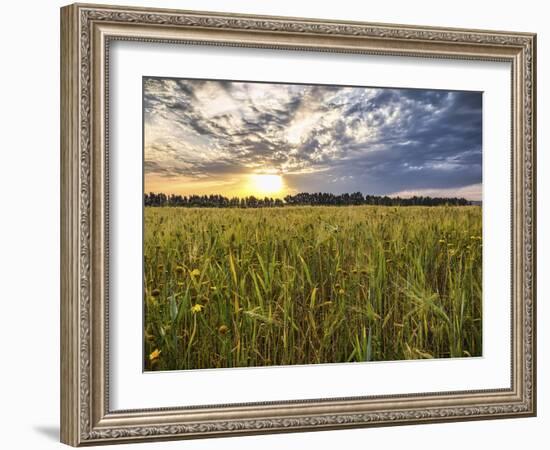 Final Sunset-Giuseppe Torre-Framed Photographic Print