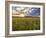 Final Sunset-Giuseppe Torre-Framed Photographic Print