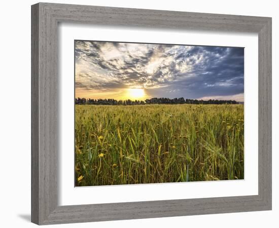 Final Sunset-Giuseppe Torre-Framed Photographic Print