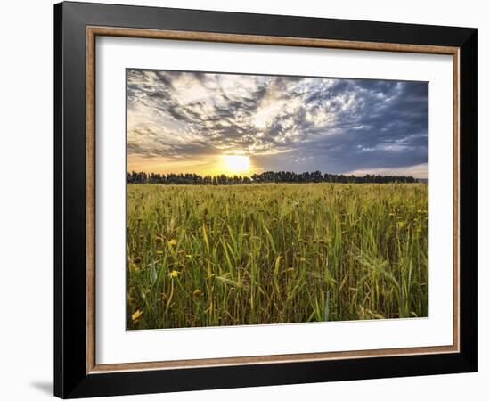 Final Sunset-Giuseppe Torre-Framed Photographic Print