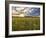 Final Sunset-Giuseppe Torre-Framed Photographic Print