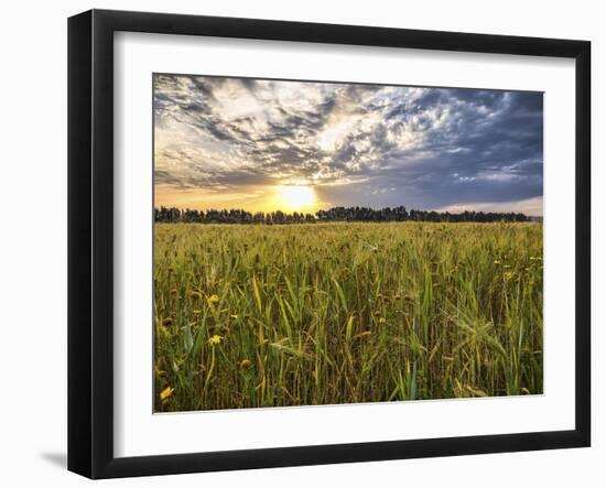 Final Sunset-Giuseppe Torre-Framed Photographic Print