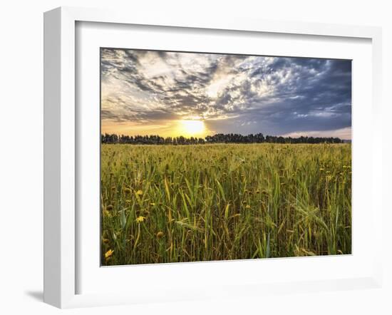 Final Sunset-Giuseppe Torre-Framed Photographic Print