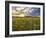 Final Sunset-Giuseppe Torre-Framed Photographic Print