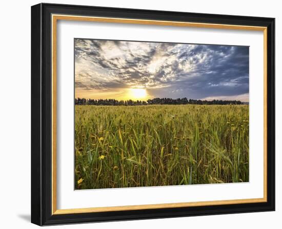 Final Sunset-Giuseppe Torre-Framed Photographic Print