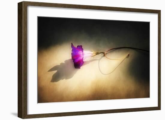 Final Touch-Philippe Sainte-Laudy-Framed Photographic Print