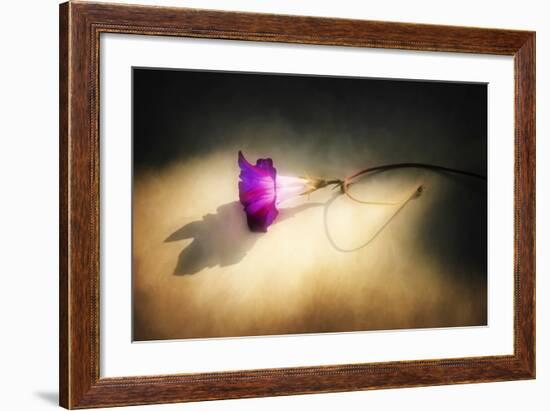 Final Touch-Philippe Sainte-Laudy-Framed Photographic Print