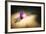 Final Touch-Philippe Sainte-Laudy-Framed Photographic Print