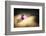 Final Touch-Philippe Sainte-Laudy-Framed Photographic Print