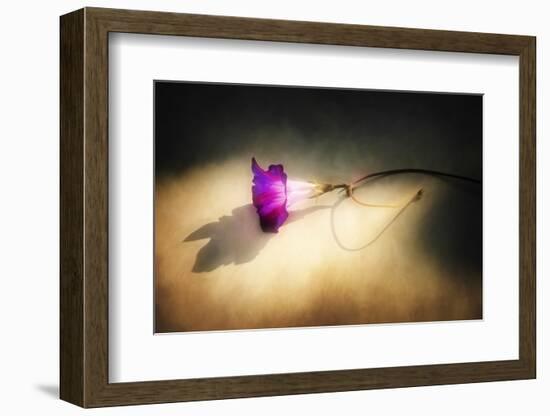 Final Touch-Philippe Sainte-Laudy-Framed Photographic Print