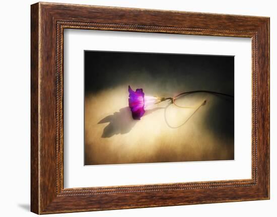 Final Touch-Philippe Sainte-Laudy-Framed Photographic Print