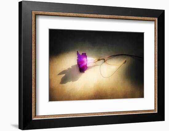 Final Touch-Philippe Sainte-Laudy-Framed Photographic Print