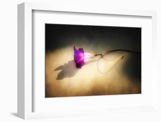 Final Touch-Philippe Sainte-Laudy-Framed Photographic Print