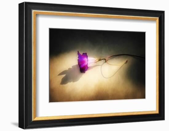 Final Touch-Philippe Sainte-Laudy-Framed Photographic Print