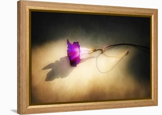 Final Touch-Philippe Sainte-Laudy-Framed Premier Image Canvas