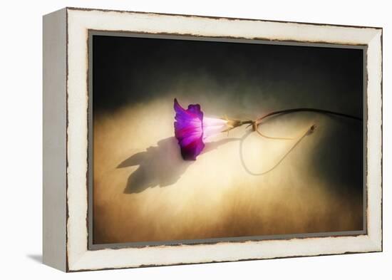 Final Touch-Philippe Sainte-Laudy-Framed Premier Image Canvas