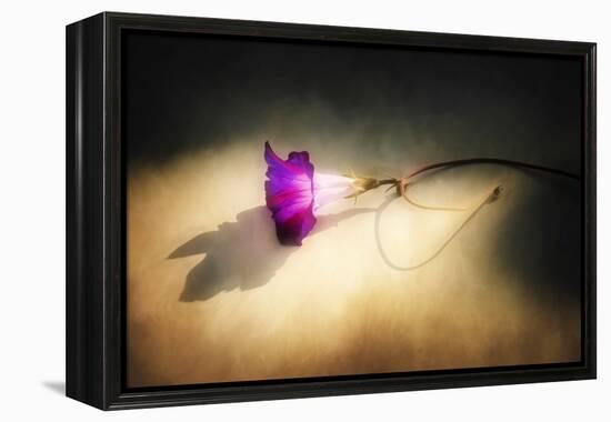 Final Touch-Philippe Sainte-Laudy-Framed Premier Image Canvas