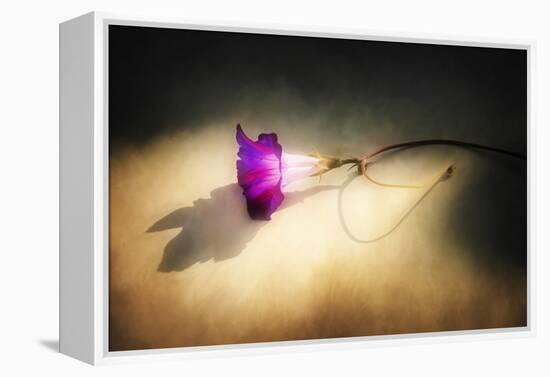 Final Touch-Philippe Sainte-Laudy-Framed Premier Image Canvas