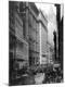 Premium Photographic Print