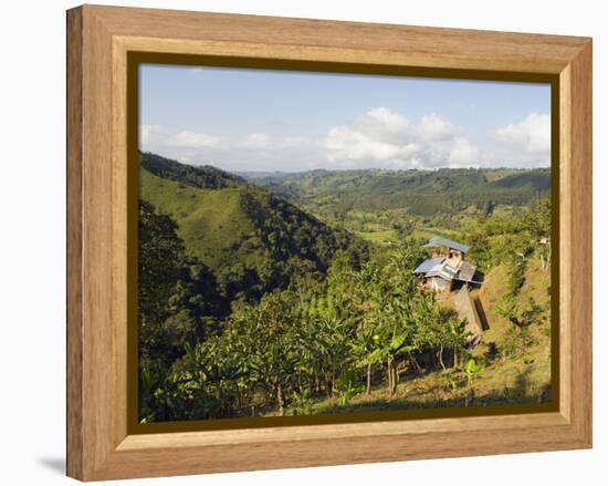 Finca Don Eduardo, Coffee Farm, Salento, Colombia, South America-Christian Kober-Framed Premier Image Canvas