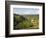 Finca Don Eduardo, Coffee Farm, Salento, Colombia, South America-Christian Kober-Framed Premium Photographic Print