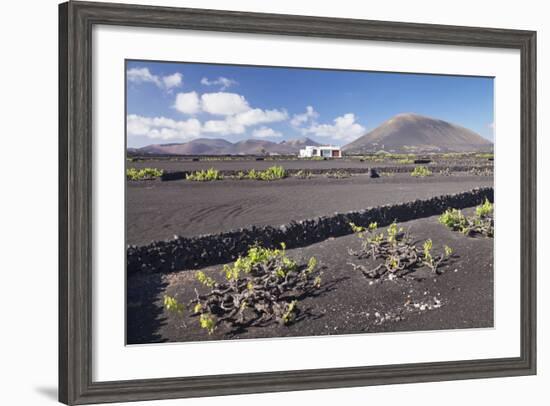 Finca, Wine Growing District La Geria, Lanzarote, Canary Islands, Spain, Atlantic, Europe-Markus Lange-Framed Photographic Print